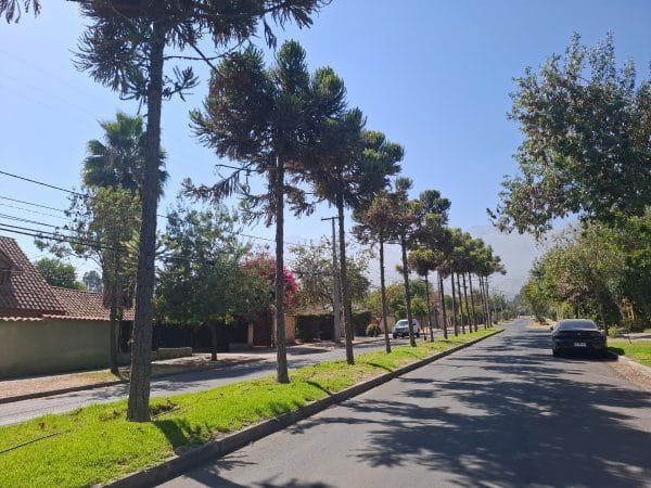 Oportunidad Increíble De Terreno En Sector Privilegiado - Imagen 16